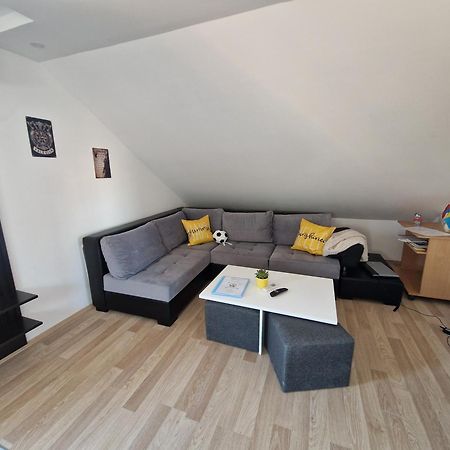 Apartman Viking Appartement Donji Milanovac Buitenkant foto